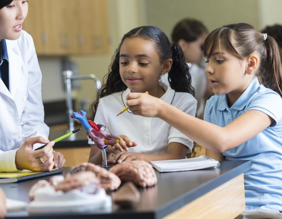 A teacher teaching kids about biology 